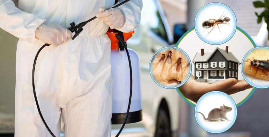 Karataş Böcek İlaçlama