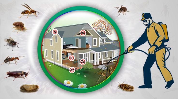 Karataş Böcek İlaçlama