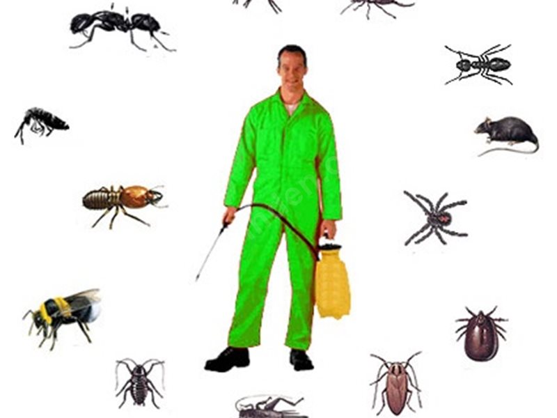 Karataş Böcek İlaçlama